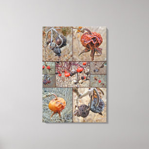 Rose Hip Collage Canvas Print