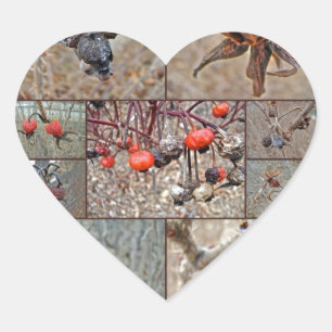Rose Hip Collage Heart Sticker