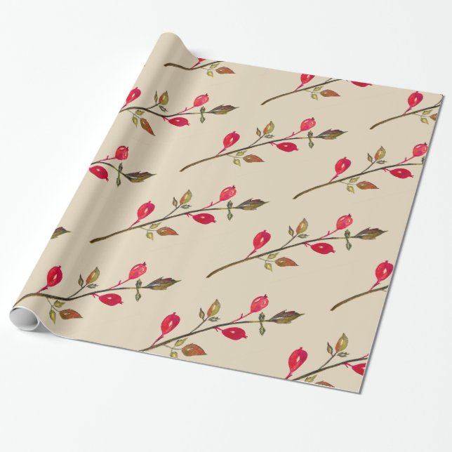 Rose hip, Herbs Drawing  Wrapping Paper (Unrolled)