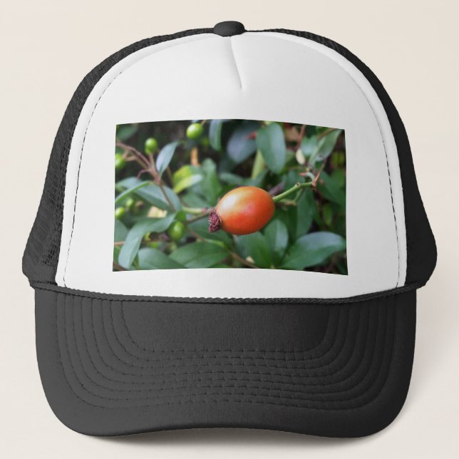 Rose hip ripen trucker hat (Front)