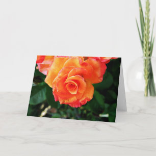 Rose Holiday Card