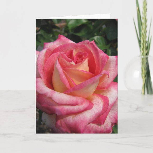 Rose Holiday Card (Front)