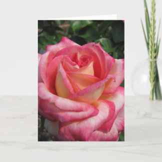 Rose Holiday Card
