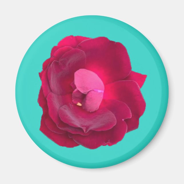 Rose I Magnet (Front)