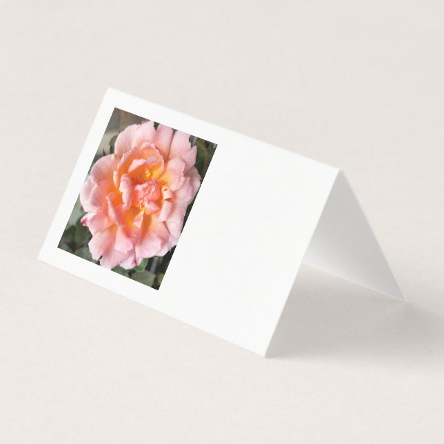 rose in autumn (Front)