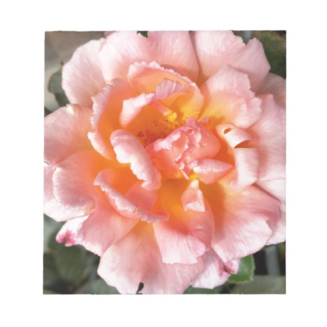 rose in autumn notepad (Front)