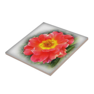 Rose in autumn tile
