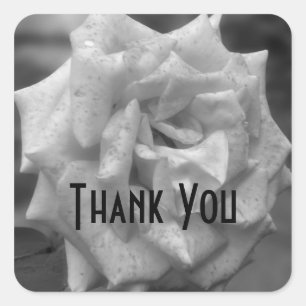 Rose In Black And White Flower Thank You Square Sticker