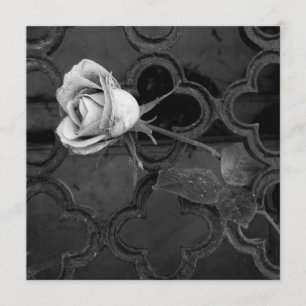 Rose in black-and-white sympathy card