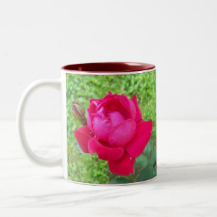 Rose in Bloom Two-Tone Coffee Mug