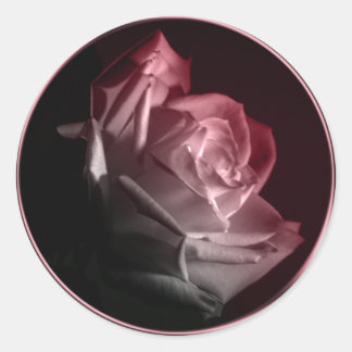 Rose In Bloom Wedding Invitation Envelope Seal