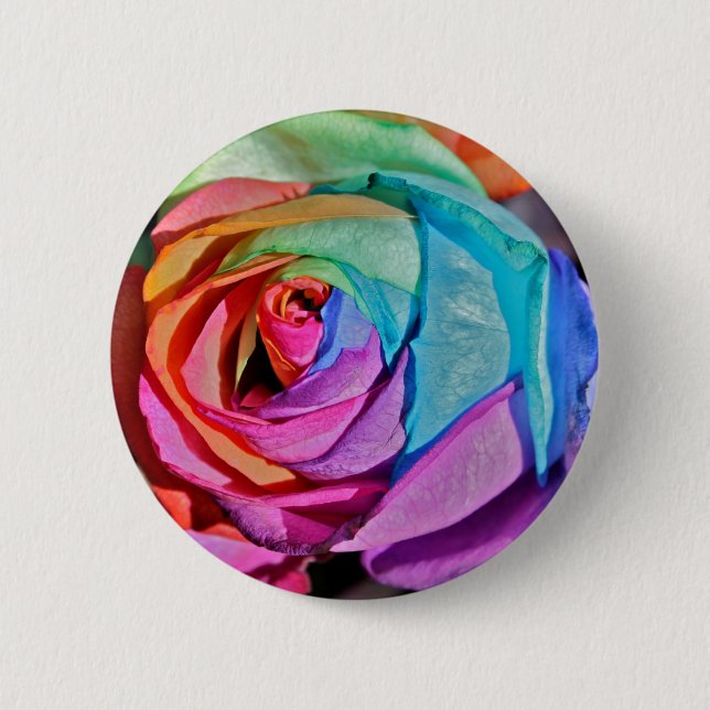 Rose in multi-colours Button Badge (Front)