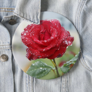 Rose in raindrops 6 cm round badge