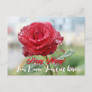 Rose in raindrops holiday postcard