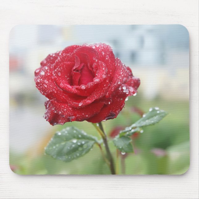 Rose in raindrops mouse mat (Front)
