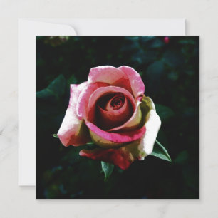 rose invitation