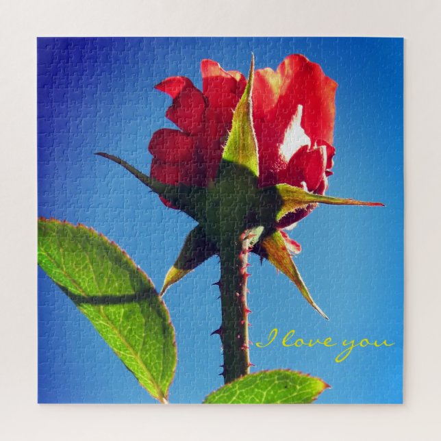 Rose Jigsaw Puzzle (Vertical)