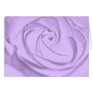 Rose -lavender.jpg