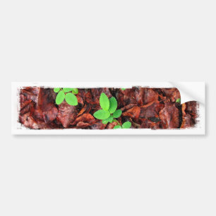 Rose Leaves; No Text Bumper Sticker
