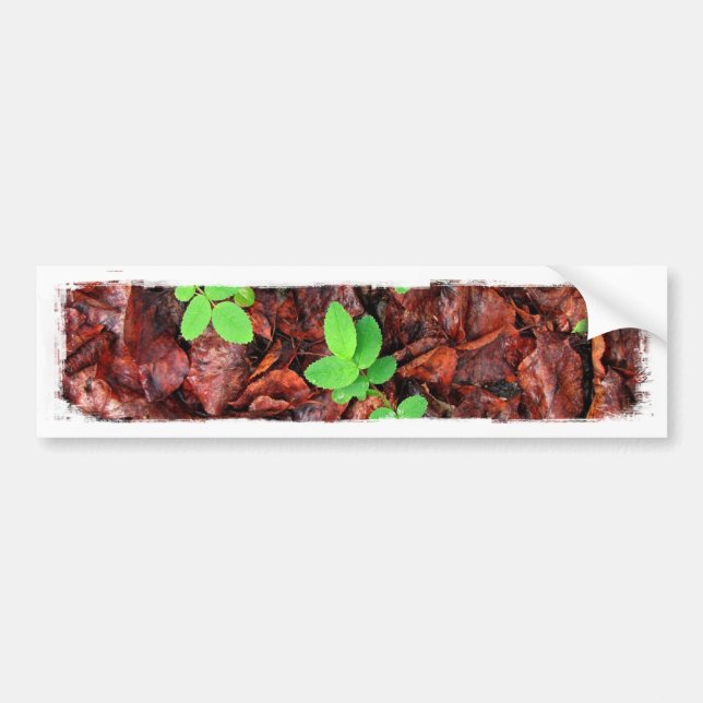 Rose Leaves; No Text Bumper Sticker (Front)
