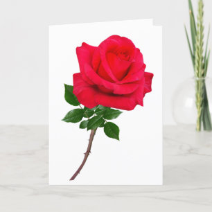 Rose Love You Greeting Card