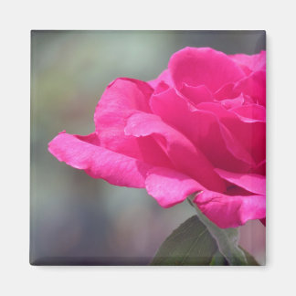 Rose Magnet