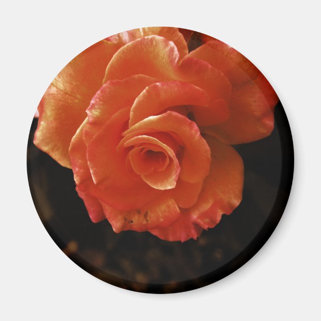 Rose Magnet (Front)
