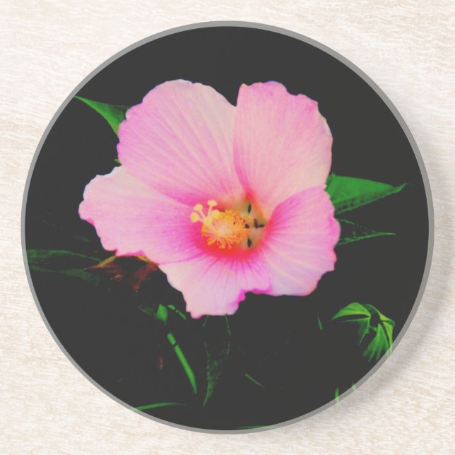 Rose Mallow Coaster (Front)
