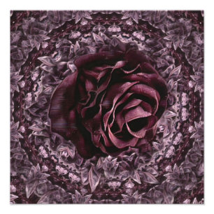 Rose Mandala  Photo Print
