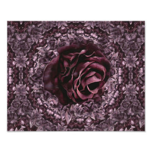 Rose Mandala  Photo Print