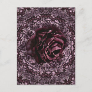 Rose Mandala  Postcard