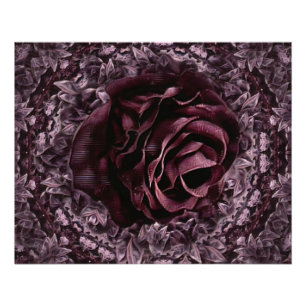 Rose Mandala  Poster