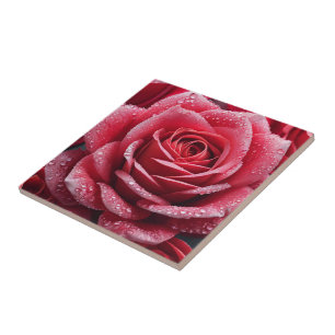 Rose Mark Ceramic Tiles : Add Charm to Your Walls