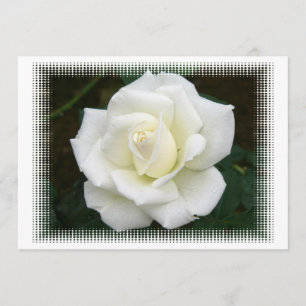 Rose Meanings Invitation