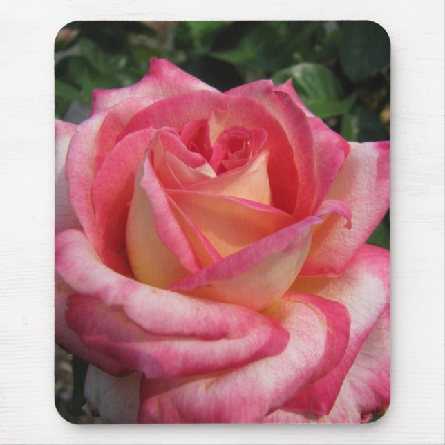 Rose Mouse Mat (Front)