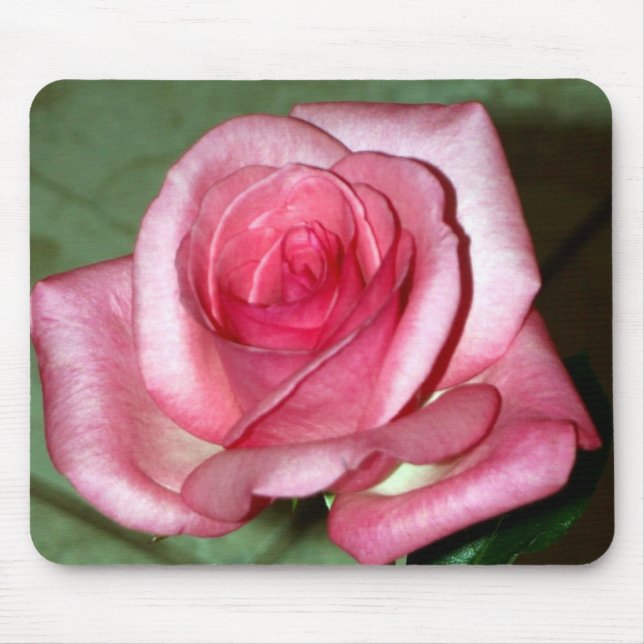Rose Mouse Mat (Front)