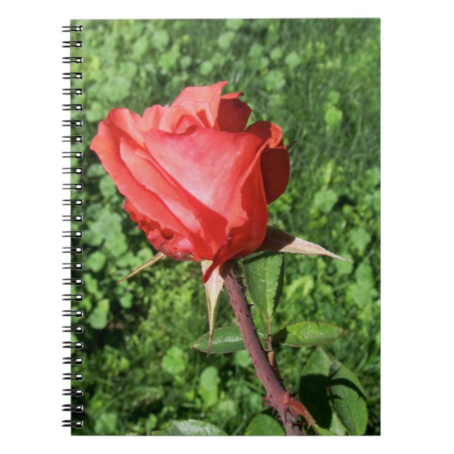Rose Notebook (Front)