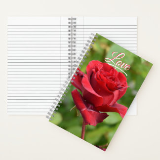 Rose notebook