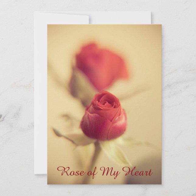 Rose of My Heart (Front)