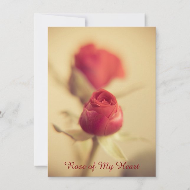 Rose of My Heart (Front)