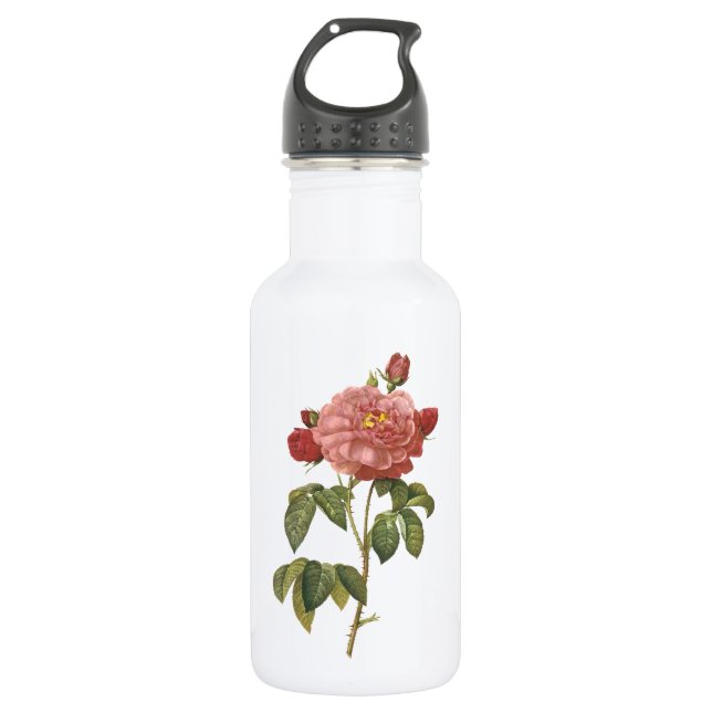 rose of Orleans by Redouté 532 Ml Water Bottle (Front)