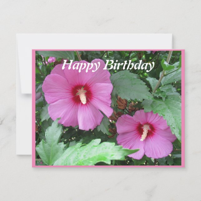 Rose of Sharon Birthday Card (Front)