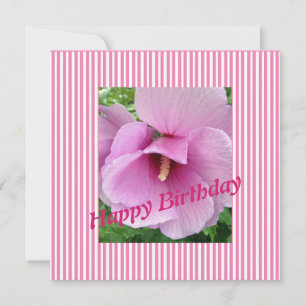 Rose of Sharon Flat Card