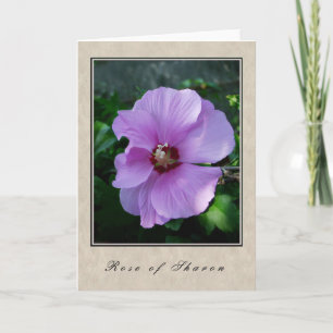 Rose of Sharon - Floral Series Card