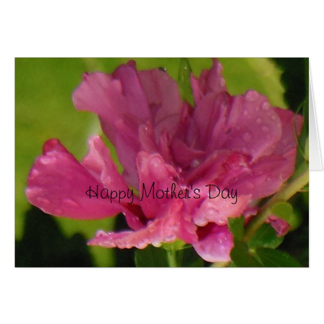 Rose of Sharon Happy Mother's Day (Front Horizontal)