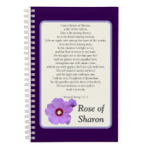 Rose of Sharon