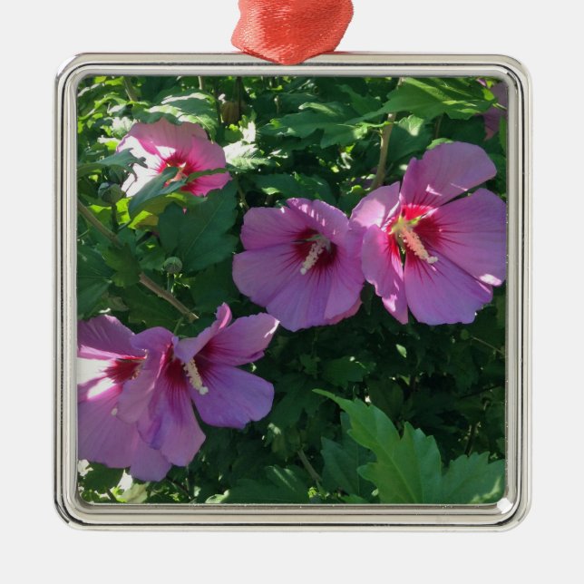 Rose Of Sharon Ornament (Front)