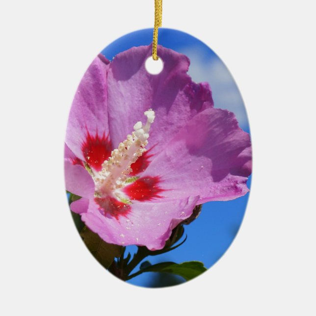 Rose of Sharon Photograph Ceramic Tree Decoration (Front)