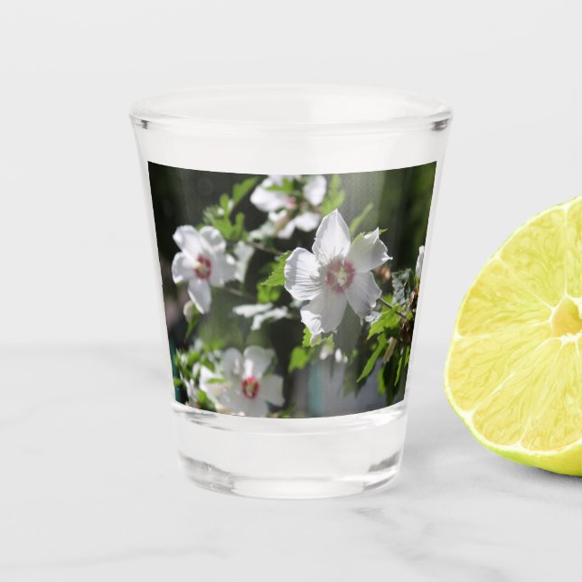 Rose of Sharon Shot Glass (Front)