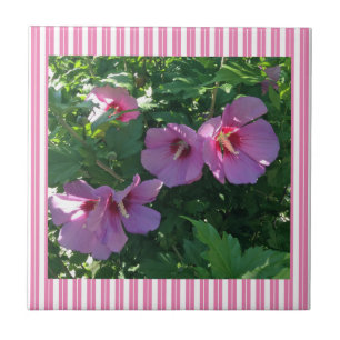 Rose of Sharon Striped Tile